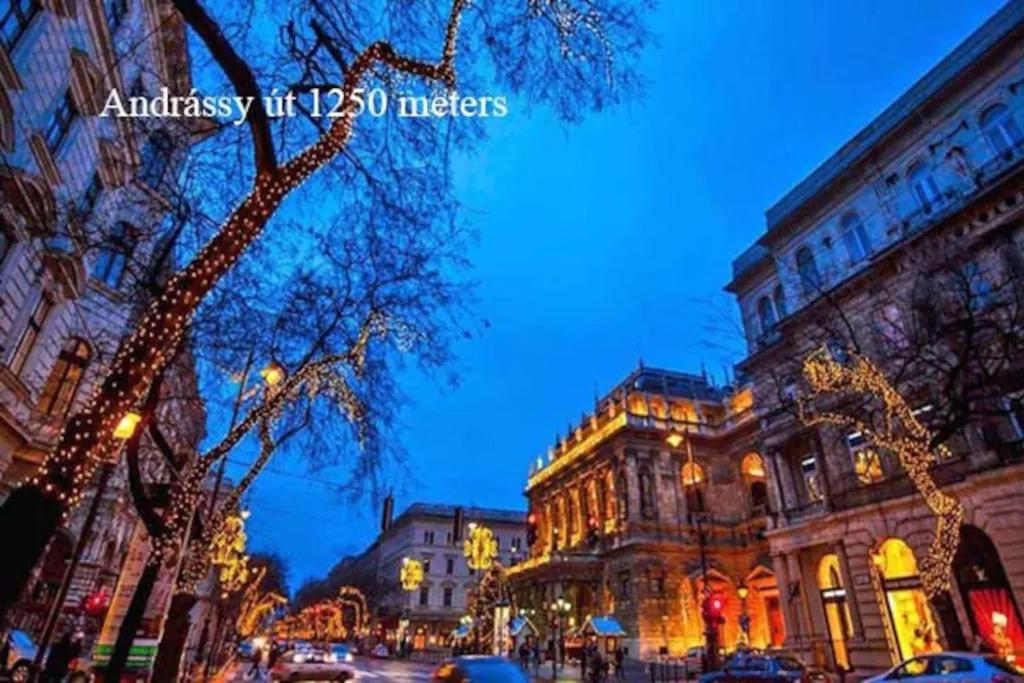 בודפשט Keleti Apartment City Center Big Flat Bedroom Private Use מראה חיצוני תמונה